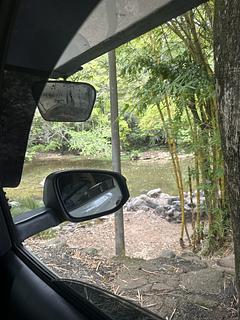 Ao lado do rio