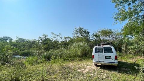 ao lado da selva/rio