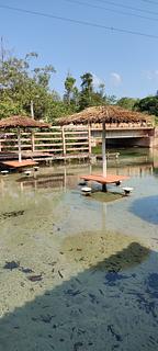 Camping - Balneario Aratera