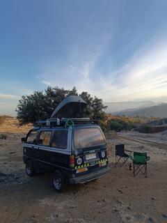 Arbolito cuesta Chacabuco