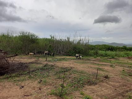 Área de Camping Aventura Verde