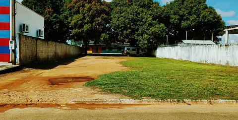 Área de grama com sombra pequena