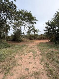 Área gramada em frente a um campo