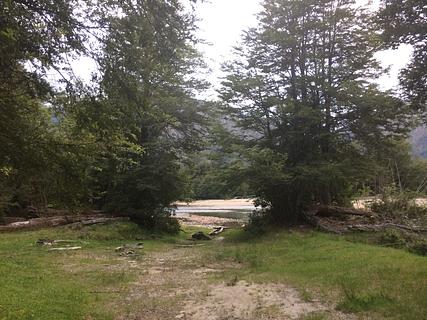 Área gramada tranquila ao longo de um riacho