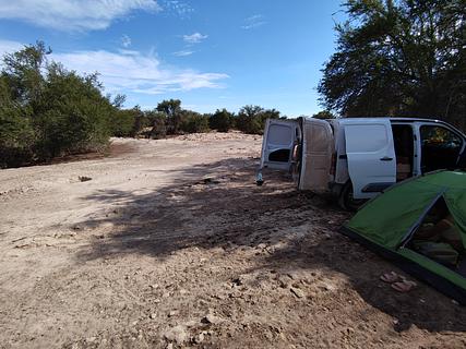 Árvores do Deserto Sombreadas