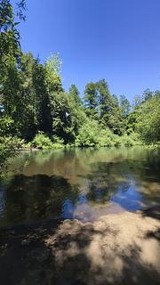 Au bord de la rivière