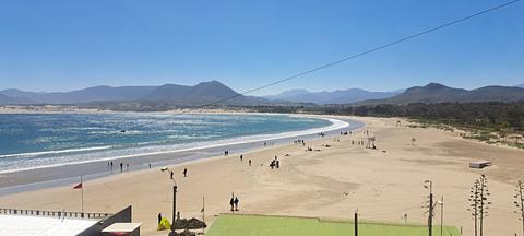 Avda del mar Pichidangui