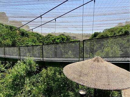 Aviario Parque Tricao