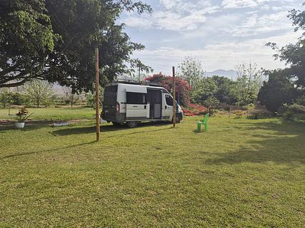 Avocado Farm & Camping