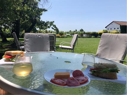 Balduzzi Vineyard