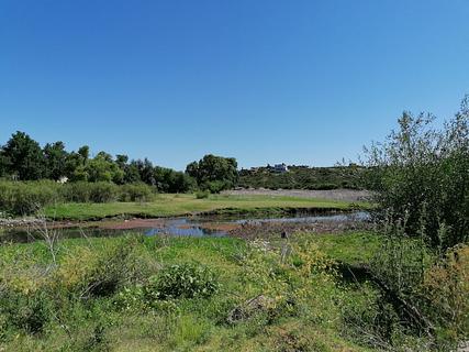 Balneario Aguila Blanca