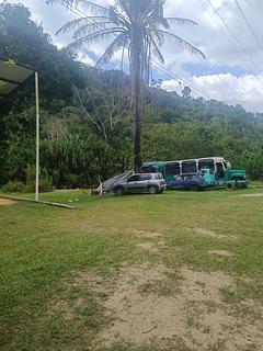 Balneario bambú