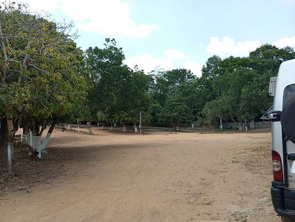 Balneário