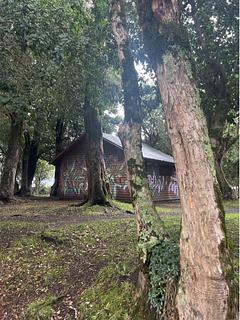 Banheiro Paseo Costanera Pucon