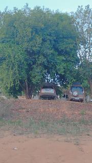 Beira lago Arauna