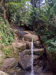 Bicão natural