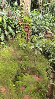 Bichacue Yath Arte & Naturaleza
