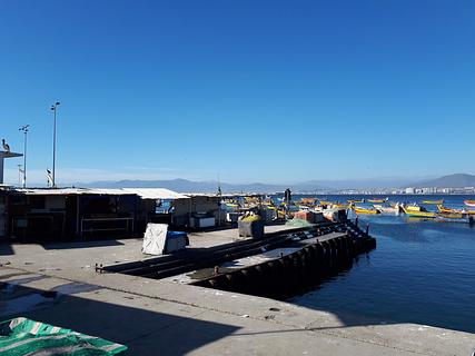 Big Fishmarket of Coquimbo