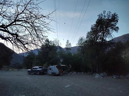 Bosque al lado del Rio Maule