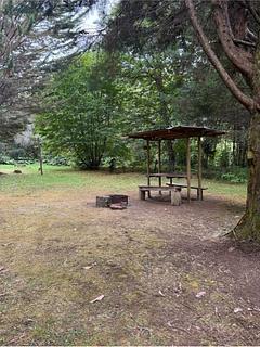 Bosque Patagonico - Cabañas y Camping