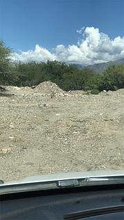 Bush Camp Quilmes