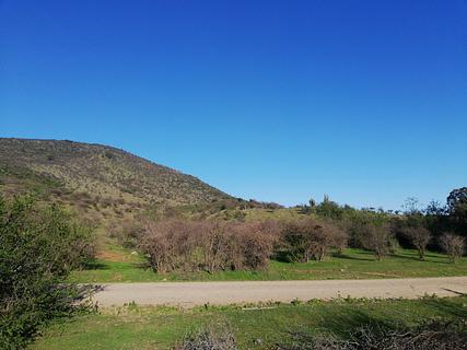 Bushcamp