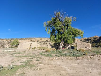 Cabana de Barro Festa