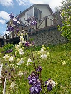Cabaña Congullio