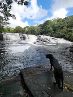Cachoeira de Andorinha