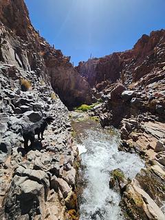Cactus and canyon