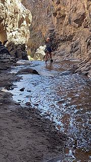 Cactus Valley (Canon Guatin)