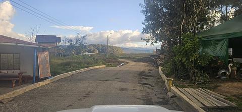 Cães perigosos