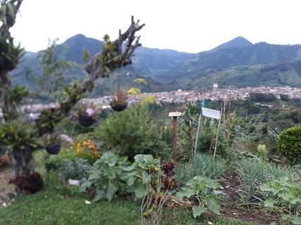 café tour finca los naranjos
