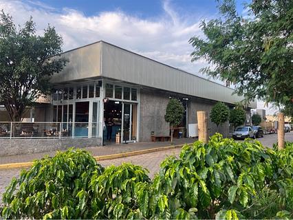 Cafés únicos - Passeio por fazenda de café
