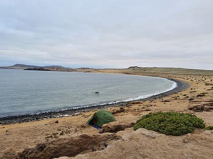 Caleta Cisne