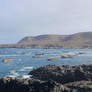 Caleta el toro