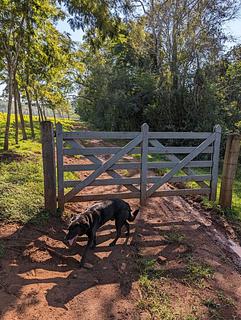 caminhada ao longo do rio