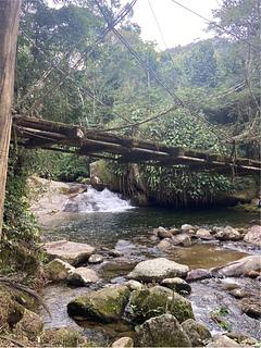 Caminho do Ouro & Cachoeira Tarzan