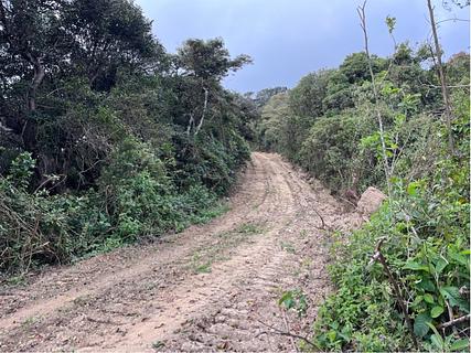 Caminho para a Floresta de Helechos