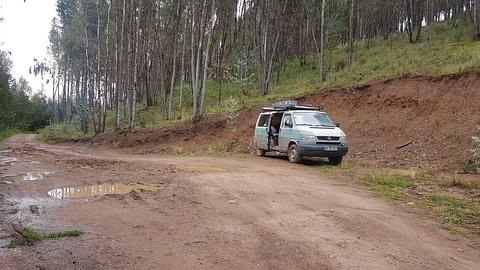 Caminho tranquilo na floresta