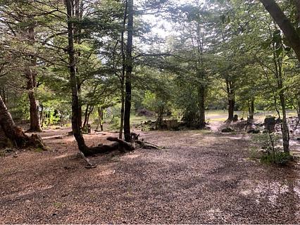 Camp Llaima
