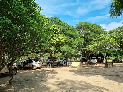 Camping Alecrim