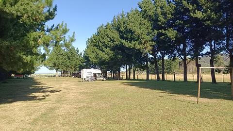 Camping Alerces
