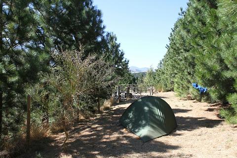 Camping Ammonites