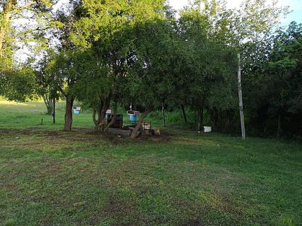 Camping Antiguo Muelle