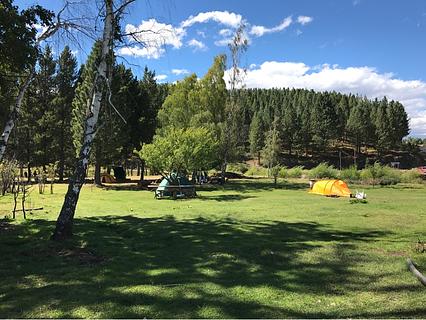 Camping Cecilia