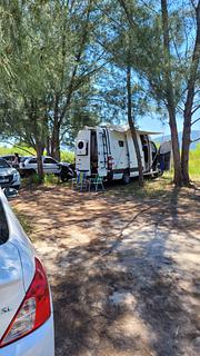 Estacionamento com árvores