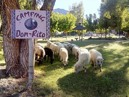 Camping Don Rito