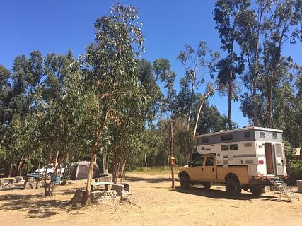 Camping El Bosque