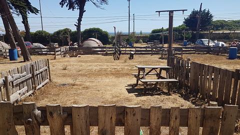 Camping El Bosque Isla Negra